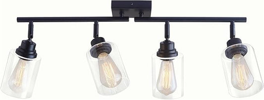 Modern 4-Light Track Lighting Fixtures Ceiling with Clear Glass Shades, E26 Base Kitchen Ceiling Light Fixture for Living Room, Bedroom & Bathroom
