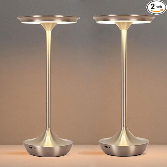 Cordless Table Lamp Set of 2,Portable Rechargeable 6000mAh Outdoor LED Table Lamps,3 Color Stepless Dimming Touch Battery Powered Lamp, Table Light for Restaurant/Patio/Camping/Bedroom(Silver)