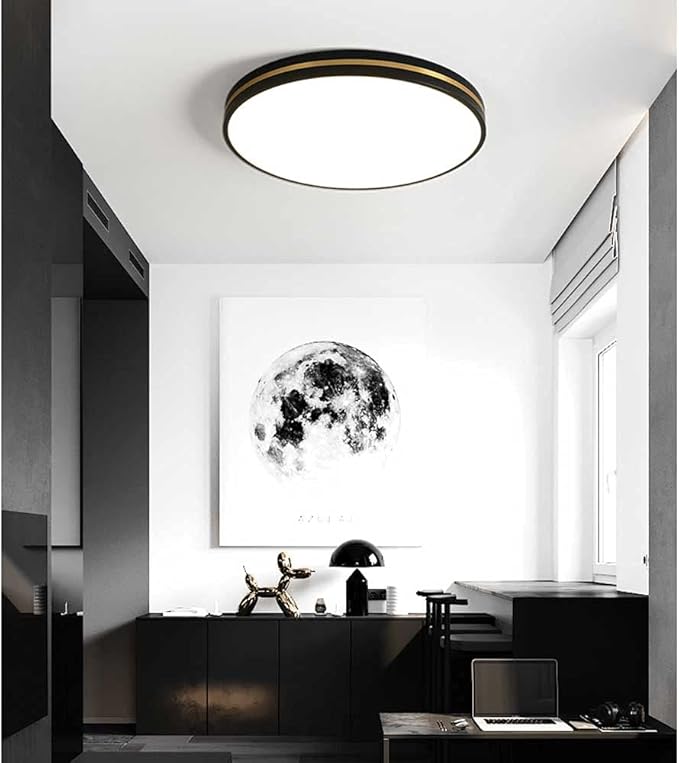 Black Minimalist LED Ceiling Light Nordic Luxury and Dimmable Flush Mount Fixture Modern Ultra-Thin Ceiling Lamp for Bedroom, Living Room, Balcony, Hallway Lighting