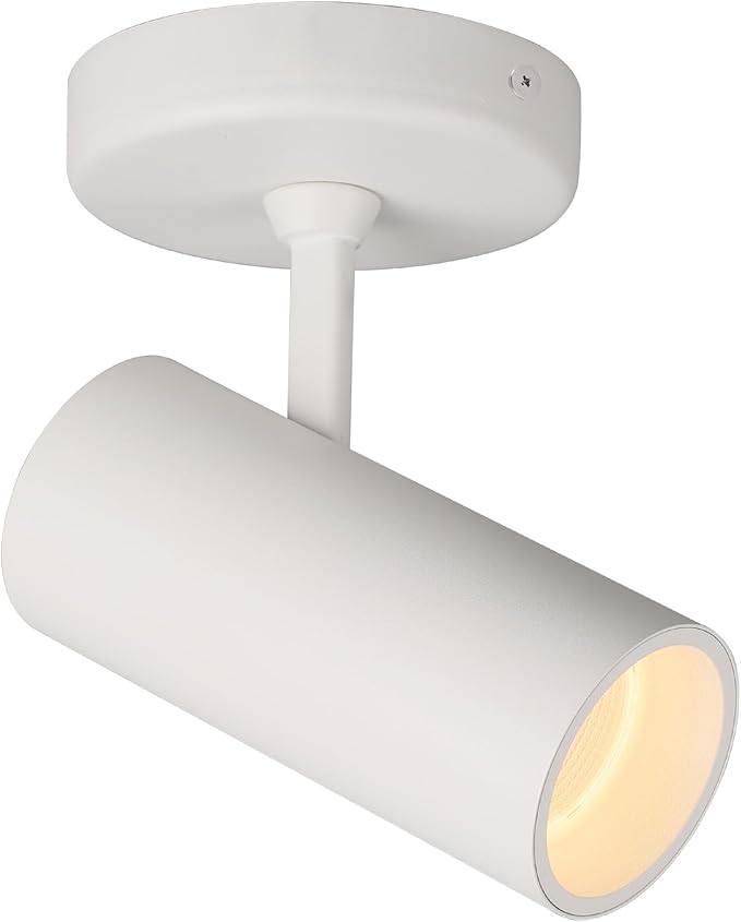 Aisilan LED Modern Directional Dimmable Spotlight Adjustable 90 Degrees Anti Glare Ceiling Spot Light for Indoor Foyer Living Room Warm White White 9W CREE COB CRI 97