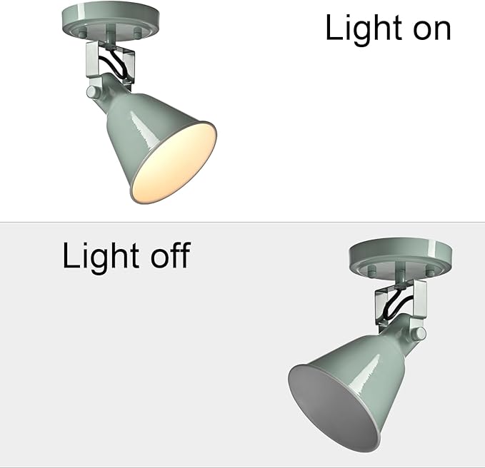 DIRYZON 1-Light Adjustable Sea Blue Green Spotlight, Semi Flush Mount Ceiling Light Fixture Track Light for Bedroom, Kitchen, Hallway & Wall Art Display