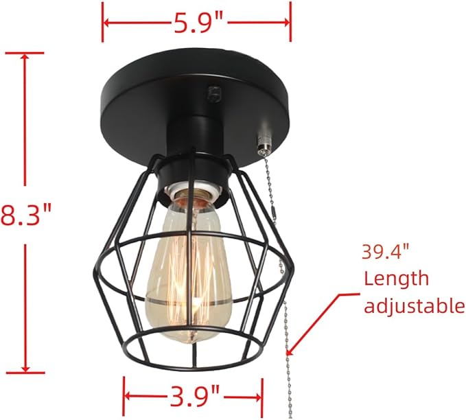 Black Metal Wire Cage Ceiling Light with Pull Chain, 1-Light Modern Industrial Semi Flush Mount Light Small Pull String Entryway Porch Ceiling Light Fixture Edison E26 161