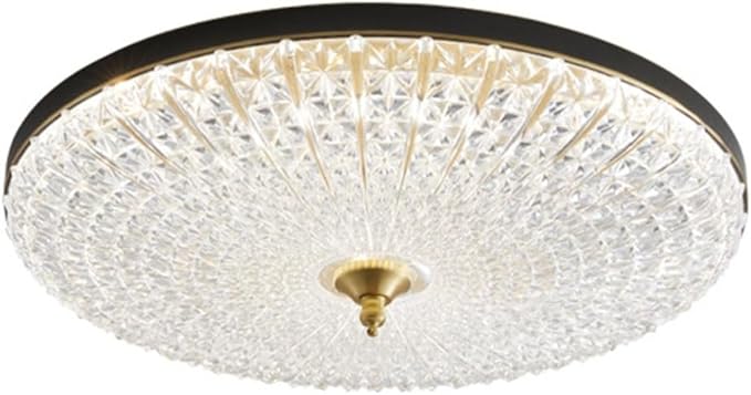 KISAD Close to Ceiling Lights Nordic Acrylic Decoration Ceiling Lights Minimalist Round Ultra-Thin Ceiling Lamp All Copper LED Dimmable Ceiling Light for Bedroom Porch Living Room(Black,50CM/19.7IN)
