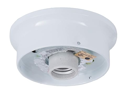 B&P Lamp® 4 Inch Fitter Wired Flush Mount Ceiling Fixture, White