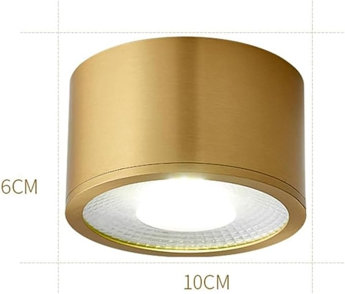 Modern Brass LED Ceiling Light Nordic Indoor Ceiling Lamp Cylindrical Shape Flush Mount Ceiling Lamp for Bedroom Hallway Kitchen Entryway(Large)