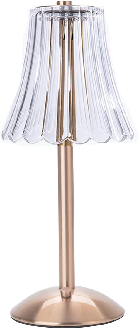 HEQET Cordless Table Lamps for Home,Table,Dining Room, Gold Rechargeable Lamps, USB Charge 12'' Tall LED Brass Portable Outdoor Indoor Table Lamp with Built-in Dimmer (Champagne Gold)