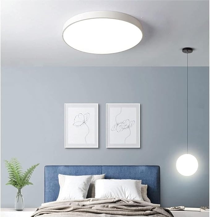 Minimalist Ceiling Lamp Round Ultra Thin Three Color Dimmable Flush Mount Sleek Modern Lighting Fixture for Bedroom Kitchen Corridor Livingroom Hallway(White,30cm/11.8in)