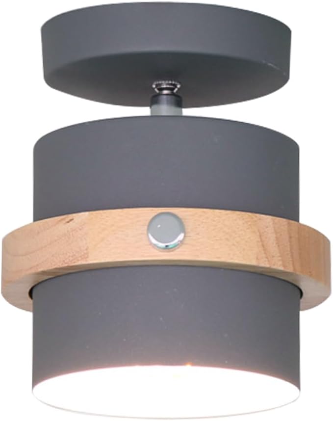 Ipetboom Minimalist LED Ceiling Lamp White Light Grey Finish Light Fixture for Hallway Dining Kitchen Living Areas