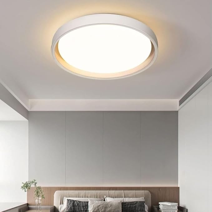 KISAD Close to Ceiling Lights Nordic Minimalist Ultra-Thin Ceiling Lamp Three-Color Dimming Ceiling Lamps Wrought Iron Mount Ceiling Light Dining Room Lighting(White,45cm)