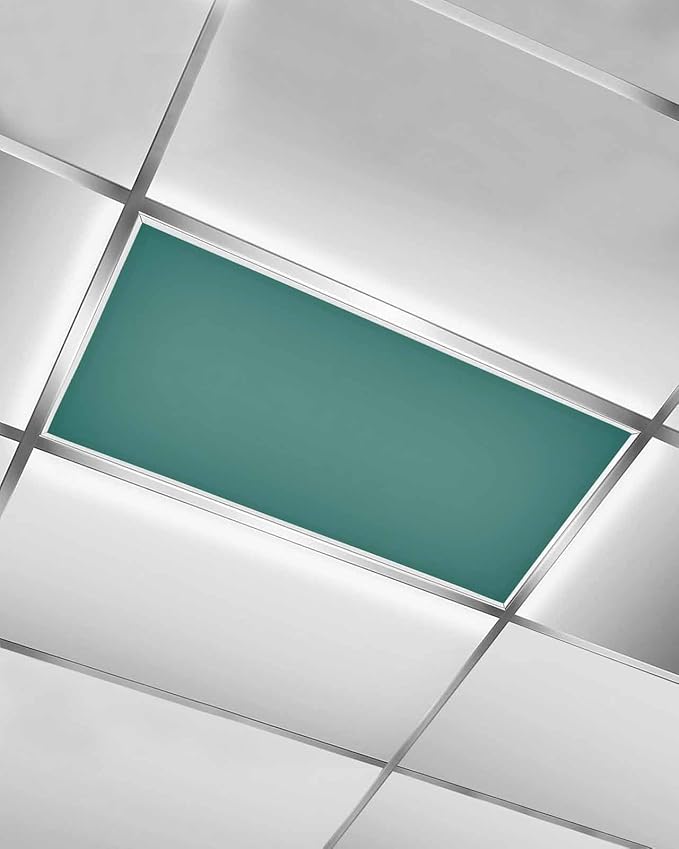 Magnetic Light Cover for Classroom Drop Ceiling,1 Pack 4x2 Ft Fluorescent Light Covers for Office Home Ceiling Light Emerald Green Solid Color Lampshade