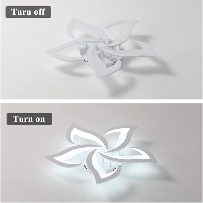 DELIPOP LED Ceiling Light Fixture, 6500K Modern LED Flush Mount Ceiling Lights, 23.6 inch Acrylic Ceiling Lamp for Living Room Dinning Room Kitchen Bedroom Ceiling Light Fixtures Ceiling Mount