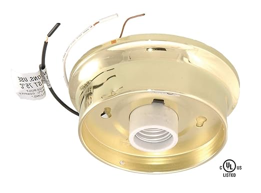 B&P Lamp® Wired Fixture Holder, 4" Fitter, Polished Brass Finish