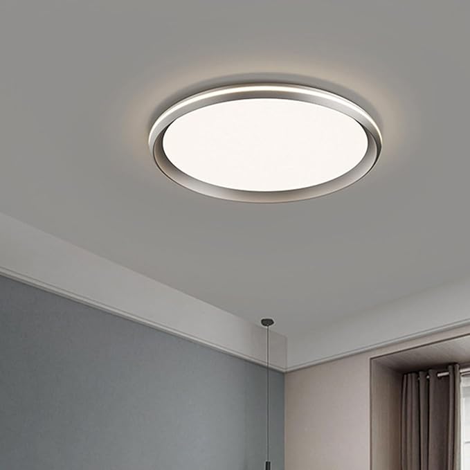 Modern Minimalist Ceiling Lamps Metal and Acrylic Flat Lighting Black and White Circular Ceiling Lights Suitable for Bedrooms and Study Rooms
