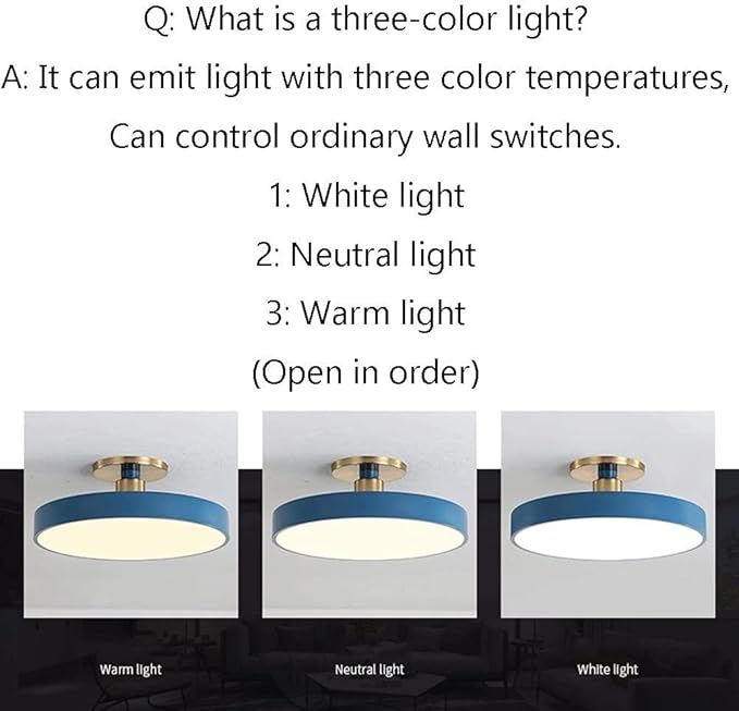 Flush Mount Ceiling Lamp LED Adjustable Tri-Color Light Ceiling Light Round Aisle Loft Restaurant Ceiling Light Fixture for Living Room Bedroom Dining Room Kitchen Study Room Corridor Chandelie