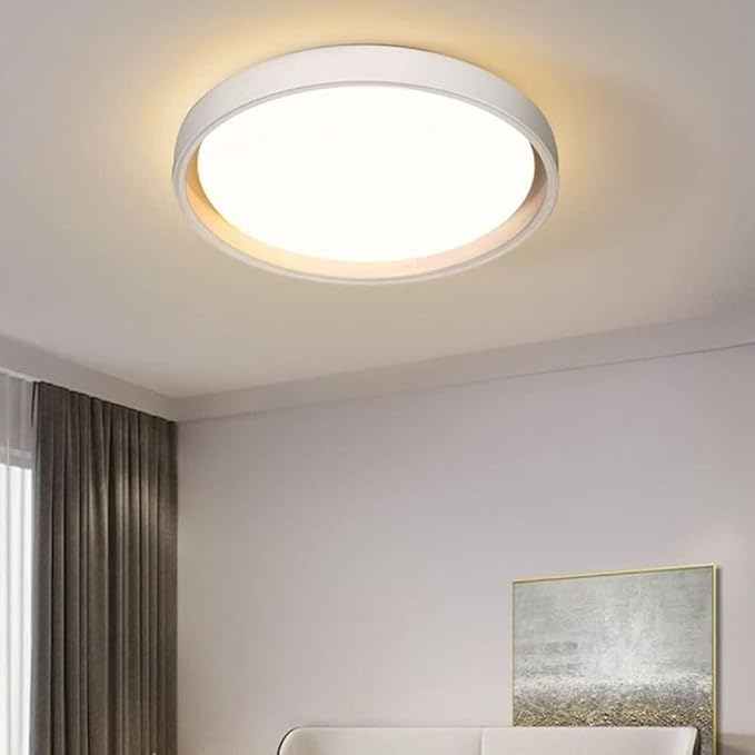 KISAD Close to Ceiling Lights Nordic Minimalist Ultra-Thin Ceiling Lamp Three-Color Dimming Ceiling Lamps Wrought Iron Mount Ceiling Light Dining Room Lighting(White,45cm)