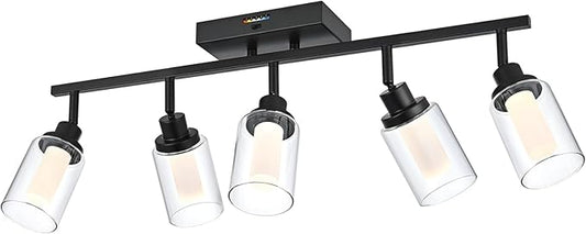5-Light LED Black Track Light Fixtures Ceiling, 5-Color Temperature Adjustable Directional Spotlight, Bathroom Vanity Lighting with Integrated LED Chips & Clear Glass Shade & Frosted Column