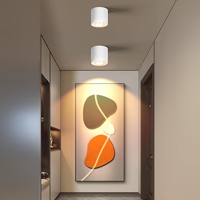 3-Color&Watt Zoomable Ceiling Spotlight Fixtures, Flush Mount Ceiling Light Fixture Dimmable LED Spot Lights Indoor, 4.72" Cylinder Light for Hallway Kitchen Entryway, 30W White 2 Pack