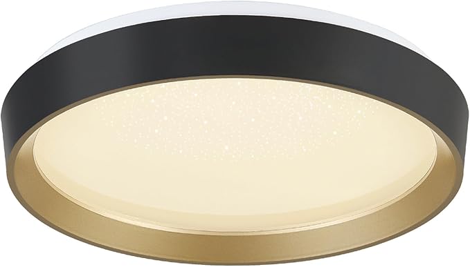 ANYLOVE 10 Inch Modern Flush Mount Ceiling Lights,White Gold Plastic Round Ceiling Light,Dimmable 3000K,3500K,4000K,5000K,6000K,for Living Room,Dining Room,Bedroom,Kitchen (Black and Gold, 15 Inch)
