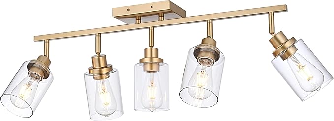5-Light Multi-Directional Rotating Kitchen Tracking Lights Gold, Modern Track Lighting Fixture with Clear Glass, Bathroom Ceiling Vanity Lights Track Lighting Kits for Kitchen Accent Shop