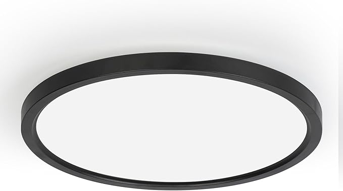 TALOYA 2 Pack of Black 10 Inch LED Ceiling Light Fixture Flush Mount for Closet Porch, 5 CCT Options, Energy Efficient Ceiling Fixture 20W Equivs to 120W Traditional Lamp Perfect for Low Ceiling