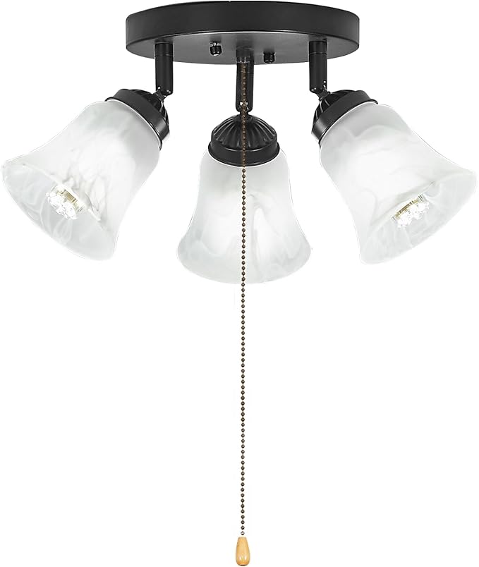 3-Light Flush Mount Ceiling Light with Pull Chain Alabaster Glass Low Profile Lighting Fixtures for Kitchen Living Room Dining Room Closet, Black