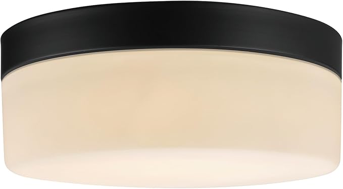 Globe Electric 44658 Mark LED Integrated Outdoor Flush Mount Ceiling Light, Black, Frosted Glass Shade, 2000 Lumen