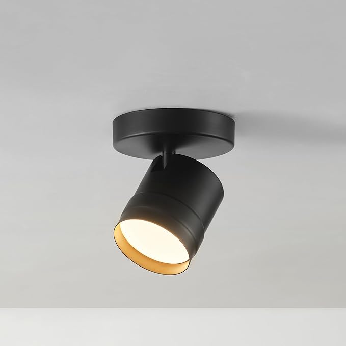 GLOBE Electric 64000170 4.5" 1-Light LED Integrated Track Lighting Spotlight, Matte Black, Pivoting Head, Ceiling Light, 14W, 600 Lumens, 3000 Kelvin, Home Improvement