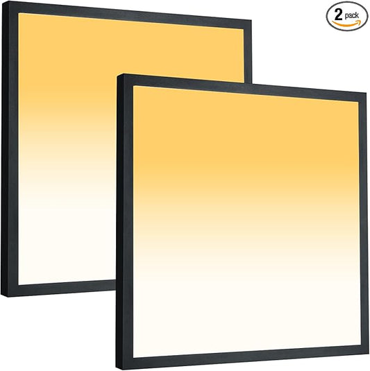 2x2 FT LED Flush Mount Panel Light 5000K 4000K 3000K Selectable & Dimmable, Black Square Surface Mount led Ceiling Light, 40W, 4400LM, 100-277V, ETL Listed, 2 Pack