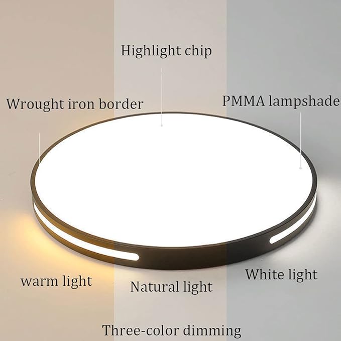 Modern, Simple, Round, Ultra-Thin Ceiling Light, Minimalist, Three-Color Dimming LED Ceiling Decorative Lighting, for Dining Room, Bedroom, Corridor, Metal Acrylic Lighting, Black 30 cm