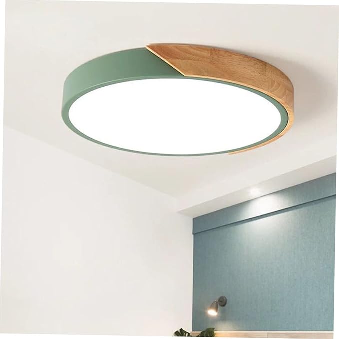 TEHAUX 1pc Modern Minimalist Ceiling Lamp Simple Decorative Light Fixture for Home and Restaurant Easy to Install for Bedroom Living Room and Hallway