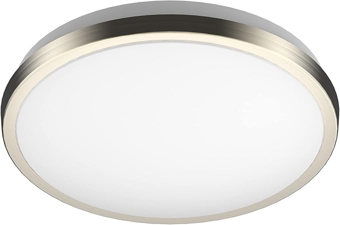 DYMOND LED Ceiling Light Flush Mount 10 Inches Ceiling Light Fixture Dimmable for Bathroom, Kitchen, Laundry Room (4000K Natural Daylight, 10 inches)