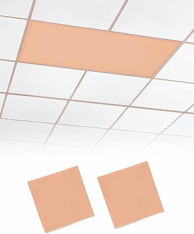 Magnetic Light Cover for Classroom Drop Ceiling,2 Pack 4x2 Ft Fluorescent Light Covers for Office Home Ceiling Light Peach Coral Solid Color Lampshade