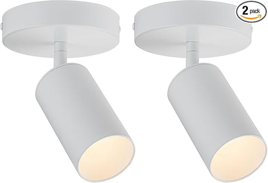 White Spot Lights Indoor 2 Pack LED Ceiling Spotlight Fixtures Adjustable 90° Anti-Glare Spotlight for Living Room, Paintings, Wall Art and Artwork, Warm White 3000K