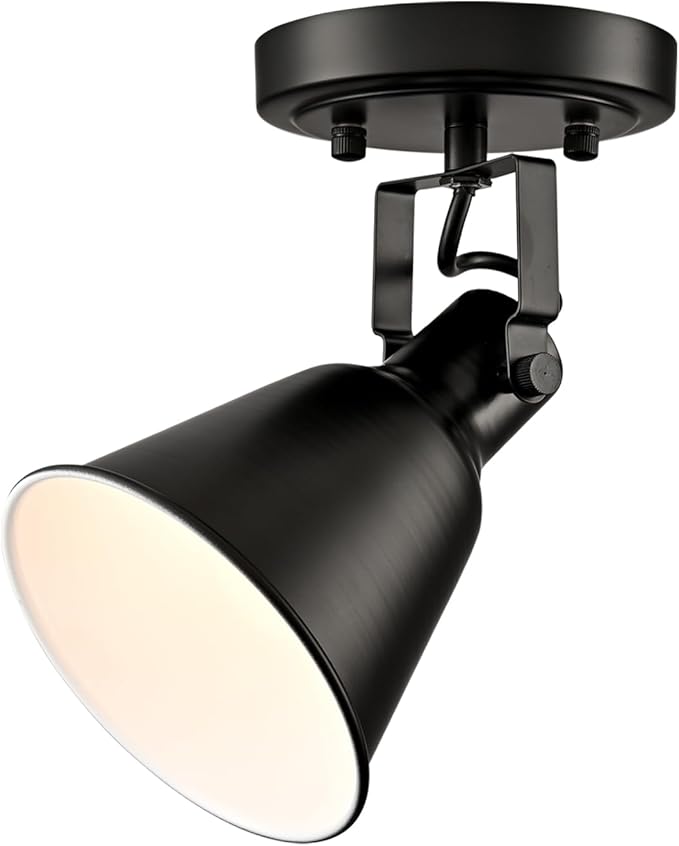 DIRYZON EUL 1-Light Adjustable Industrial Ceiling Spot Light with Adjustable Head, Matte Black Semi Flush Mount Fixture for Indoor Bedroom, Hallway, Kitchen Lighting
