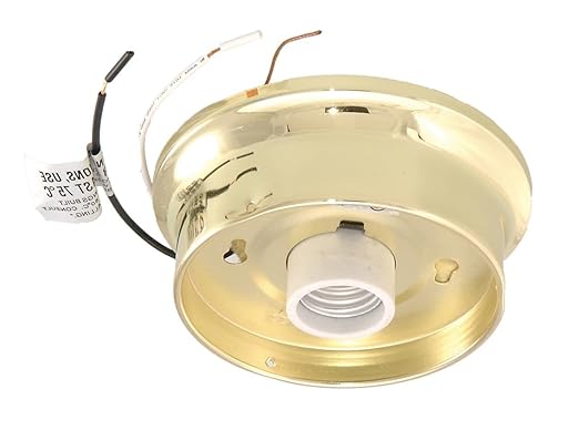 B&P Lamp® Wired Fixture Holder, 4" Fitter, Polished Brass Finish