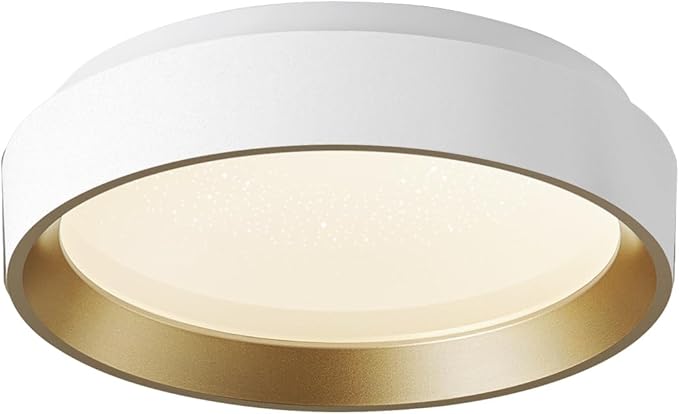 ANYLOVE 10 Inch Modern Flush Mount Ceiling Lights,White Gold Plastic Round Ceiling Light,Dimmable 3000K,3500K,4000K,5000K,6000K,for Living Room,Dining Room,Bedroom,Kitchen (White and Gold, 10 Inch)