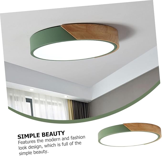 TEHAUX 1pc Modern Minimalist Ceiling Lamp Simple Decorative Light Fixture for Home and Restaurant Easy to Install for Bedroom Living Room and Hallway