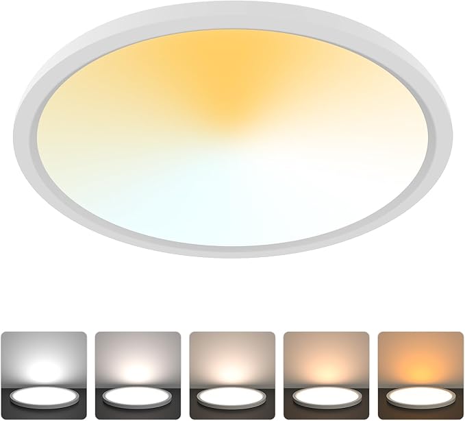 Aialun 12 Inch Led Flush Mount Ceiling Lights, 16/20/24W, 2700K-6500K 5 Color Selectable Dimmable Ceiling Light, 0.67" Super Slim Close to Ceiling Light fixtures for Bathroom, kitchen, Hallway, 1 Pack