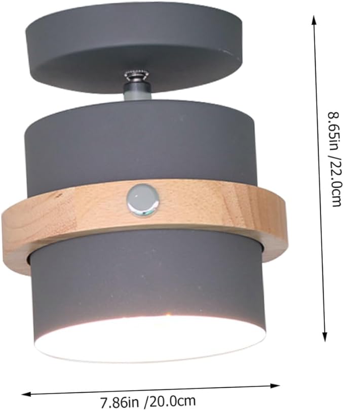Ipetboom Minimalist LED Ceiling Lamp White Light Grey Finish Light Fixture for Hallway Dining Kitchen Living Areas