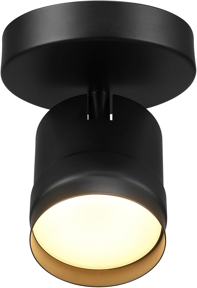 GLOBE Electric 64000170 4.5" 1-Light LED Integrated Track Lighting Spotlight, Matte Black, Pivoting Head, Ceiling Light, 14W, 600 Lumens, 3000 Kelvin, Home Improvement