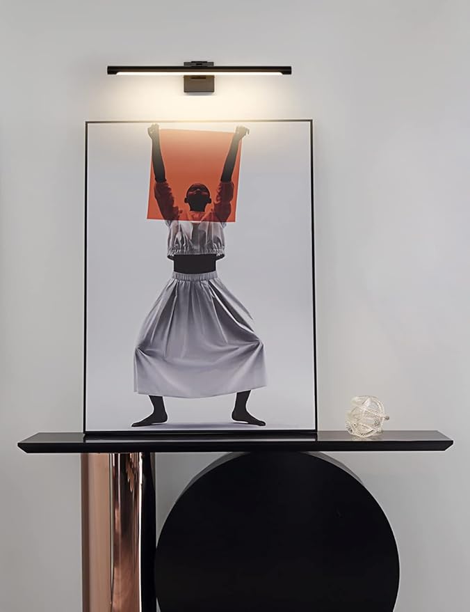 Joosenhouse LED Picture Light Modern Black Art Display Light Artwork Display Light for Paintings 14W (70W Eqv) Hardwired Connection 3000K 24.4 inches