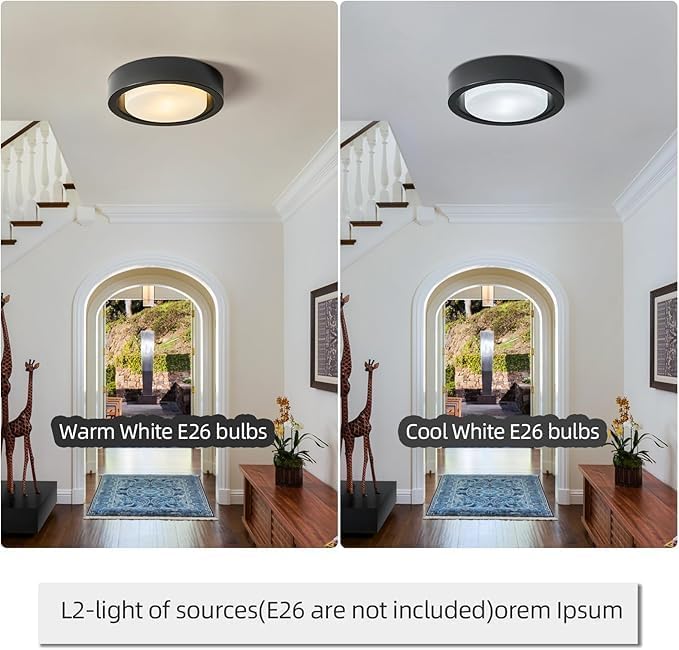 COTULIN Black Flush Mount Ceiling Light,13 Inch Matte Black Ceiling Lighting Fixture,2-Light Modern Round Metal Lamp with White Frosted Glass Shade for Hallway Bedroom Closet Outdoor