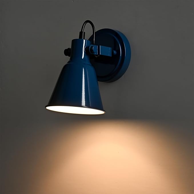 DIRYZON 1-Light Adjustable Blue Spotlight, Semi Flush Mount Track Light Ceiling Light Fixture for Bedroom, Kitchen, Hallway & Wall Art Display