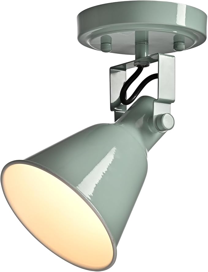 DIRYZON 1-Light Adjustable Sea Blue Green Spotlight, Semi Flush Mount Ceiling Light Fixture Track Light for Bedroom, Kitchen, Hallway & Wall Art Display