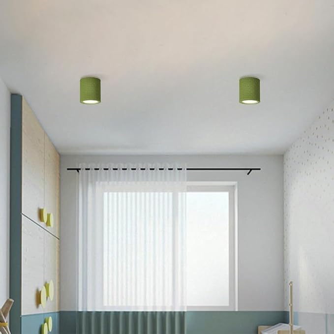 KISAD Close to Ceiling Lights Nordic Resin Ceiling Light Mini Flush Mount Ceiling Lamp Cream Style Hallway Lighting Fixture Minimalism Ceiling Downlight(Green)