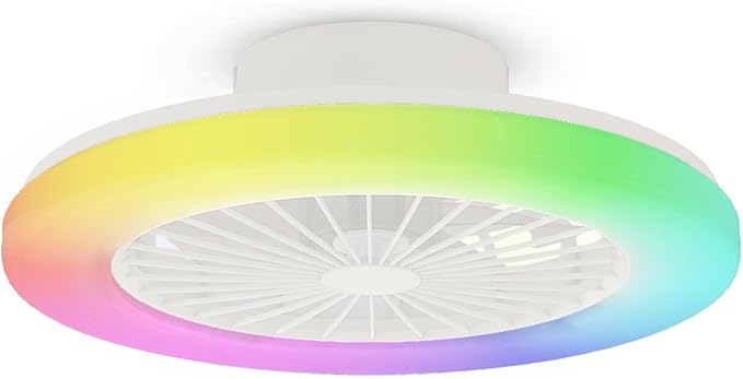 Modern LED Ceiling Light with Fan, RGB Ceiling Fan Lights, Ceiling Fan with lamp, 24 Ventilation speeds, infinitely dimmable Light for Living Room, Bedroom, Office, 3000-5500 K (White &19" & RGB)