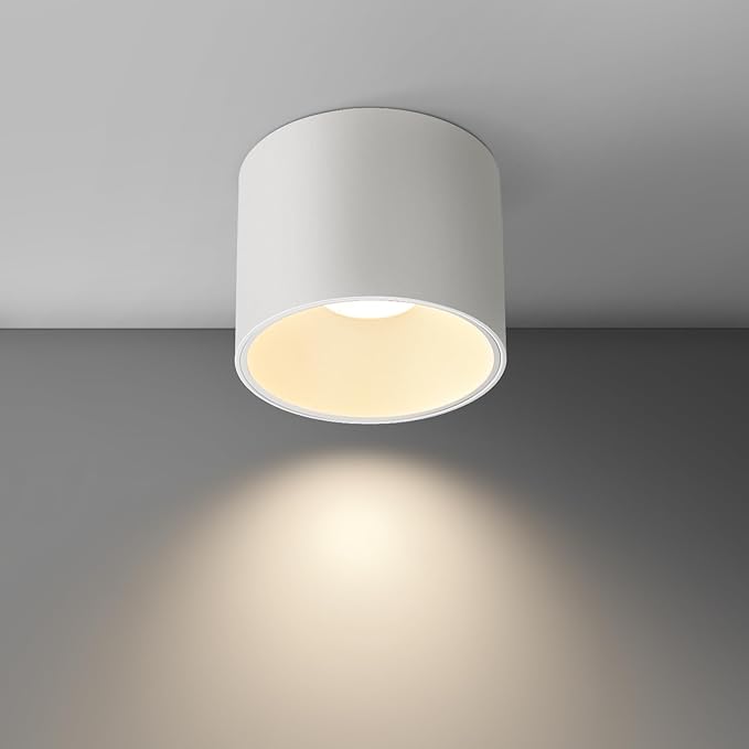 Ceiling Light Fixture LED Dimmable Modern Ceiling Spot Light, Flush Mount Ceiling Light 4.72'' Cylinder Ceiling Lamp for Living Room Hallway Foyer Dining Room 3000K 15W 1500lm CRI 90 (White)