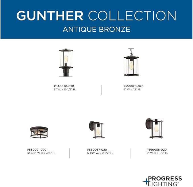 Progress Lighting Gunther Collection 2-Light Clear Glass Farmhouse Outdoor Flush Mount Light Antique Bronze, 5.75x12.63x12.63