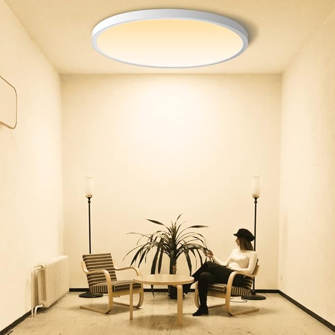 LED Flush Mount Ceiling Light Fixture, 2800K Warm White 24W(240W Equivalent) 12 Inch Flat Modern Ceiling Lighting, 3200LM Ceiling Lamp for Bathroom Porch, Kitchen, Bedroom, Living Room, Hallway