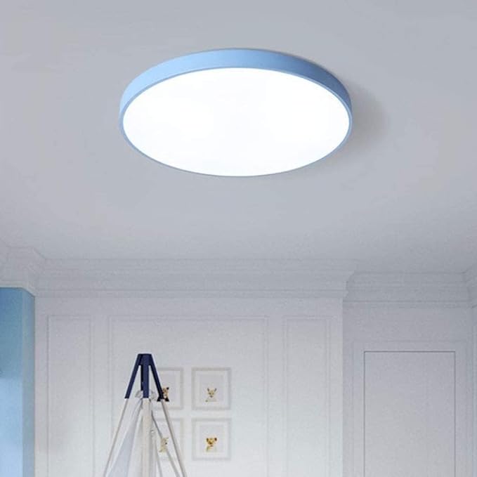 LED Flush Mount Ceiling Light Fixture Modern Minimalist Round Interior Lamp 6000-6500K Cold White Lighting Ultra-Thin 1.9 Inches Slim Suitable for Bedroom Loft Storage(White,Small)